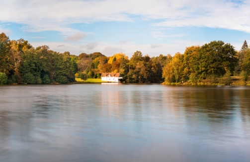 Events In Surrey'